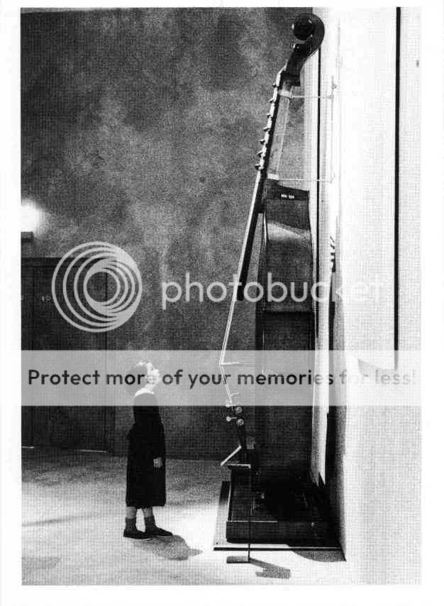 Bass Guitar Place Difference between Double Bass and Bass Guitar